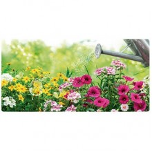 BOSKSEED FLORES SILVESTRES SOPRANO